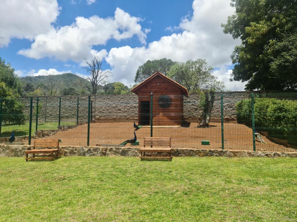 Finca Los Angeles Hospederia & Sociales Huasca de Ocampo Exteriér fotografie